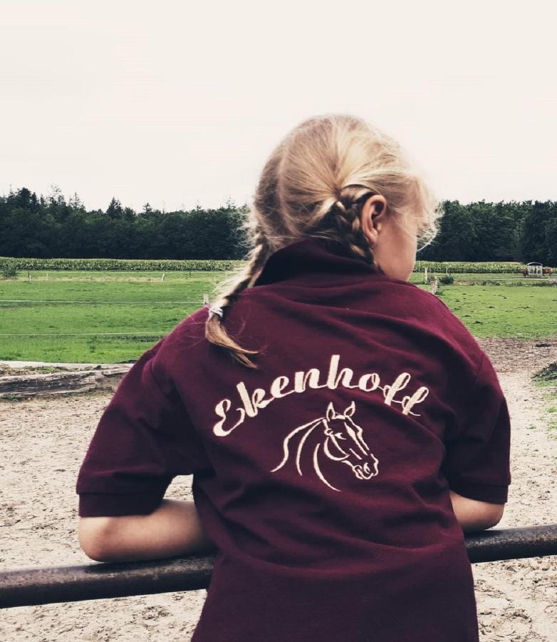 MoorwegReiterhof Ekenhoff公寓 外观 照片