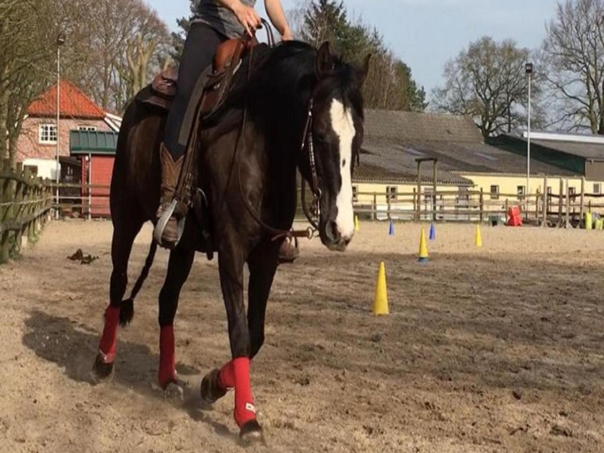 MoorwegReiterhof Ekenhoff公寓 外观 照片