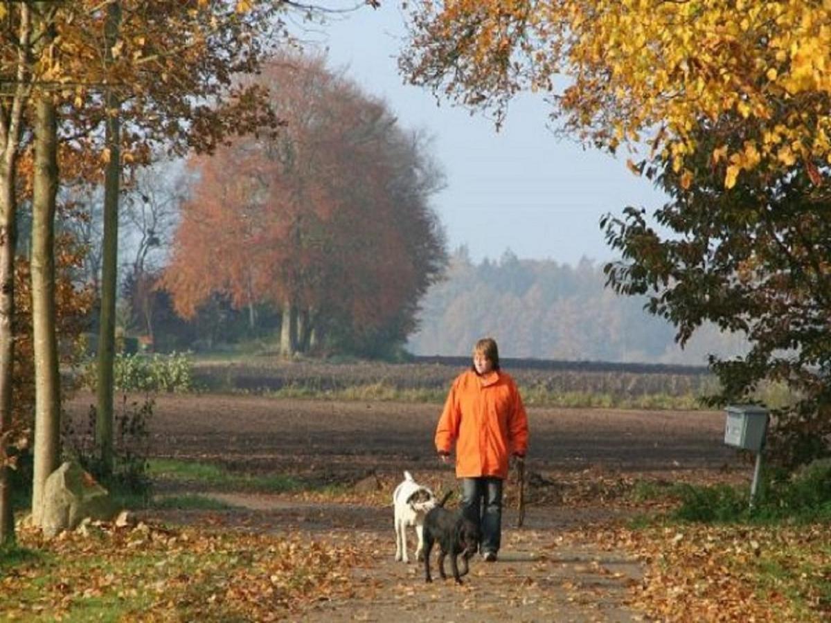 MoorwegReiterhof Ekenhoff公寓 外观 照片